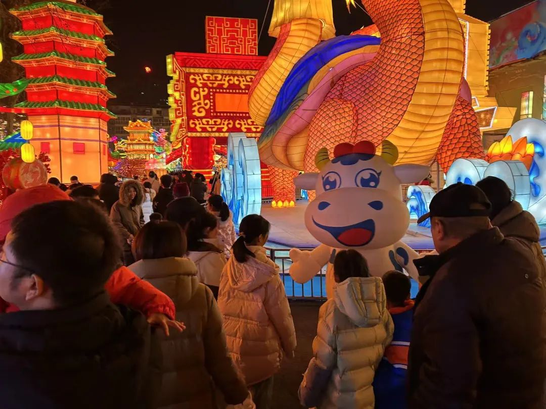 央視直播鄭州龍年燈會迎新春，花花牛品牌上大分