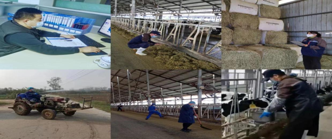 @全體花花牛人：請珍惜你的崗位，請善待我們共同的“花花?！保? style=