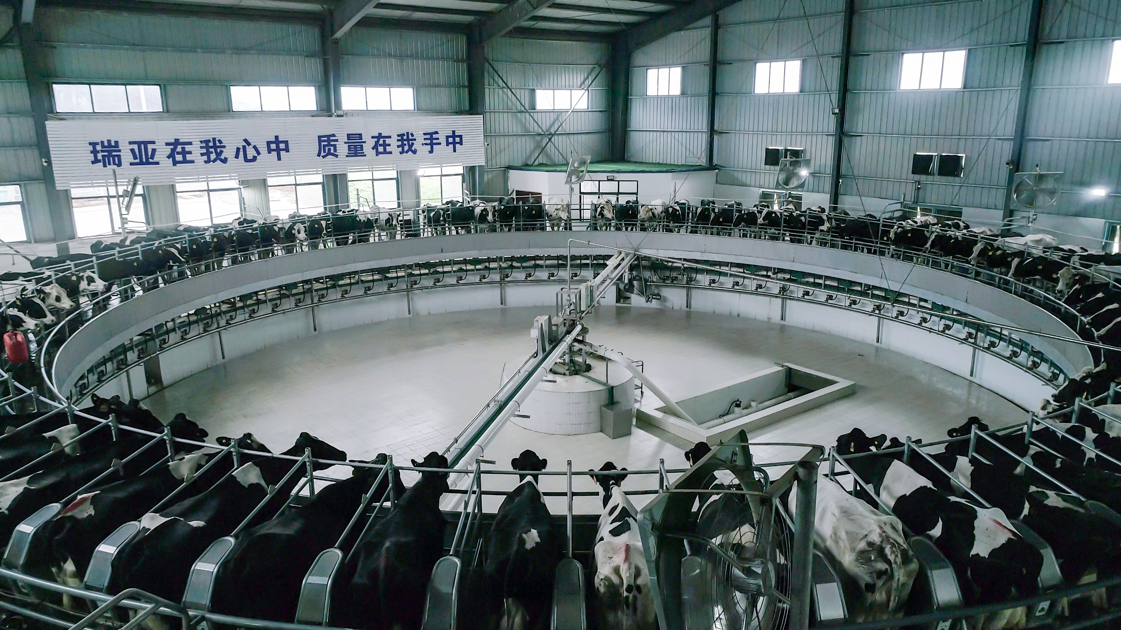 河南省人大常委會(huì)黨組書(shū)記、副主任孔昌生蒞臨花花牛魯山瑞亞牧場(chǎng)參觀(guān)調(diào)研