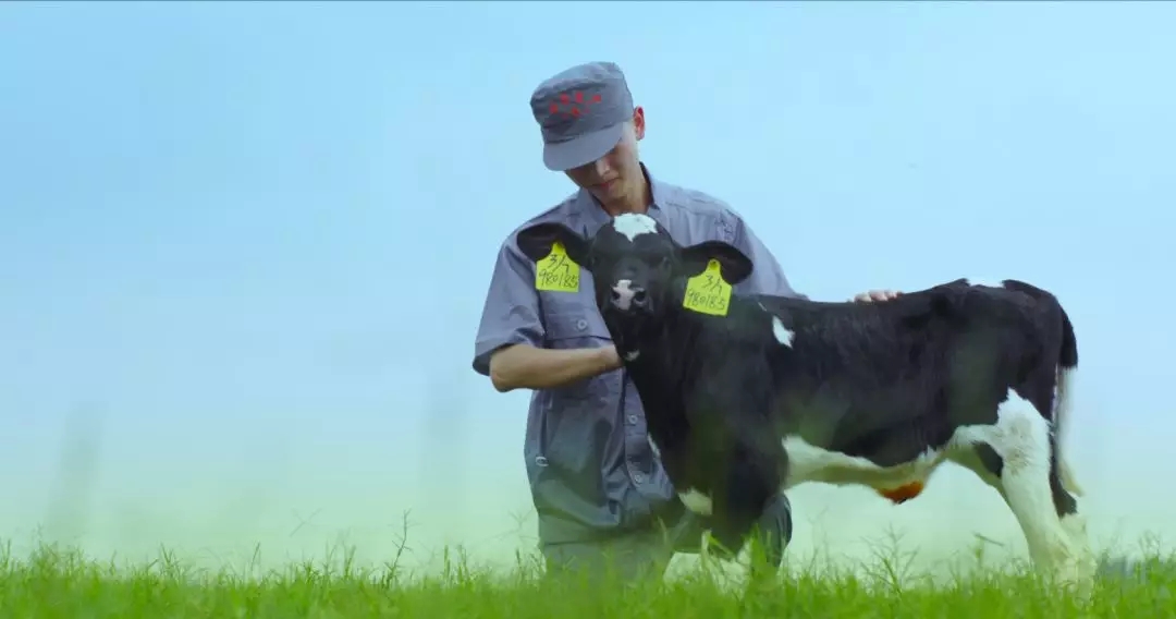 河南省人大常委會(huì)黨組書(shū)記、副主任孔昌生蒞臨花花牛魯山瑞亞牧場(chǎng)參觀(guān)調(diào)研