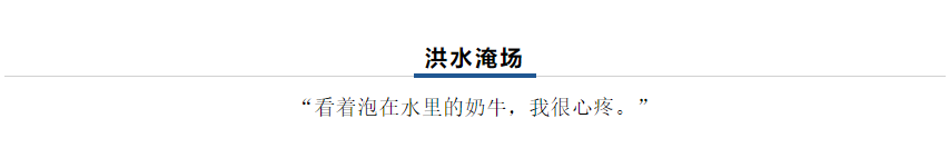 【乳報(bào)·聚焦】“豫”難而上的中原牛人“太中了”！