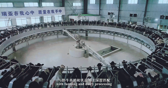 快訊 | 湖北省農(nóng)業(yè)廳副廳長王海濤等領導一行蒞臨河南花花牛乳業(yè)集團參觀調(diào)研