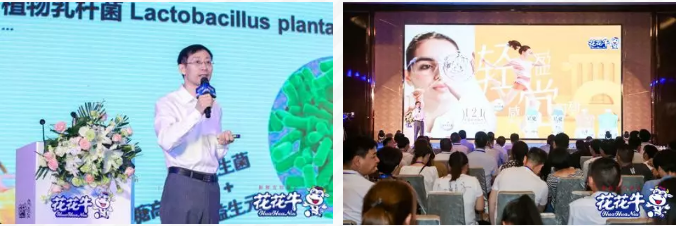 花花牛輕覺上市暨優(yōu)質(zhì)乳工程認(rèn)證發(fā)布會(huì)，盛大啟幕！