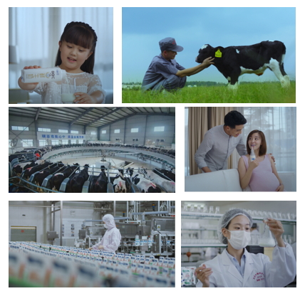 花花牛亮相中國奶業(yè)20強呼倫貝爾峰會，共話中國奶業(yè)振興！