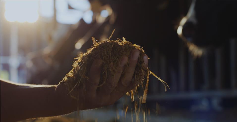 又雙叒叕獲獎(jiǎng)啦！花花牛榮獲“乳品質(zhì)量安全管理 優(yōu)秀企業(yè)”