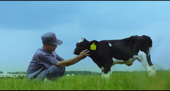 又雙叒叕獲獎(jiǎng)啦！花花牛榮獲“乳品質(zhì)量安全管理 優(yōu)秀企業(yè)”