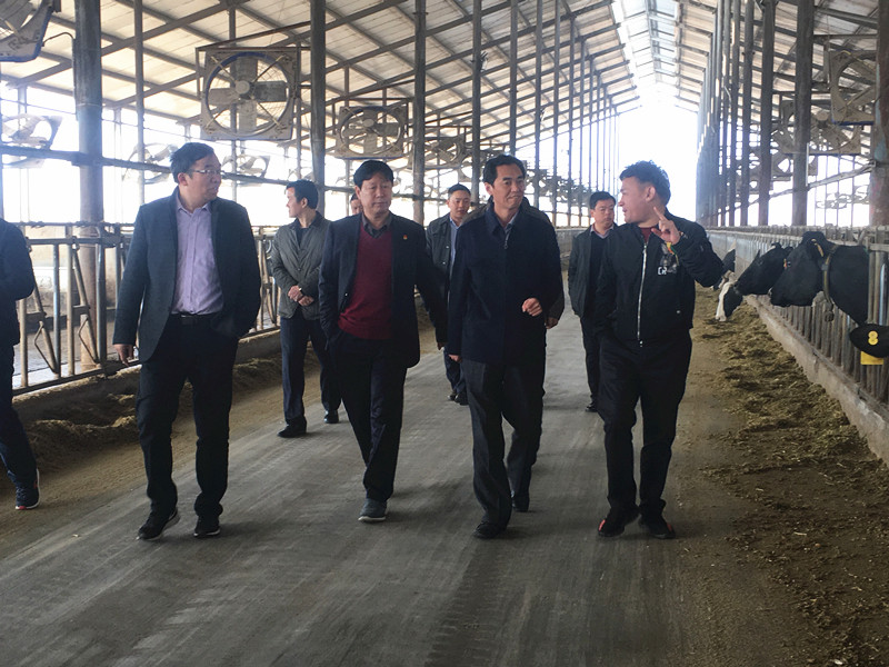 封丘縣縣長(zhǎng)王獻(xiàn)臣一行蒞臨 花花牛集團(tuán)養(yǎng)殖、乳品事業(yè)部參觀調(diào)研