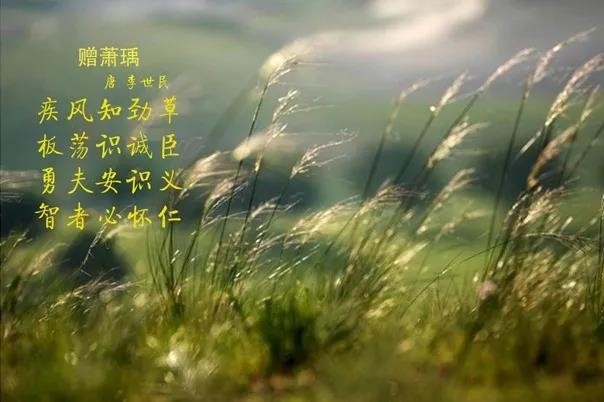 花花牛 | 疾風(fēng)來(lái)臨，你是不是勁草？
