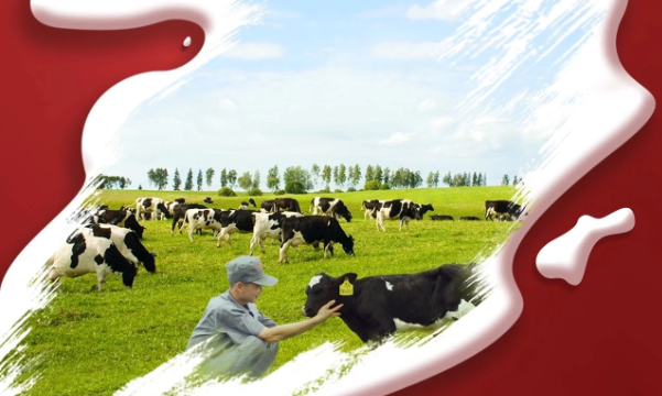 喜報(bào)！花花牛董事長(zhǎng)關(guān)曉彥再獲”優(yōu) 秀企業(yè)家”稱(chēng)號(hào)